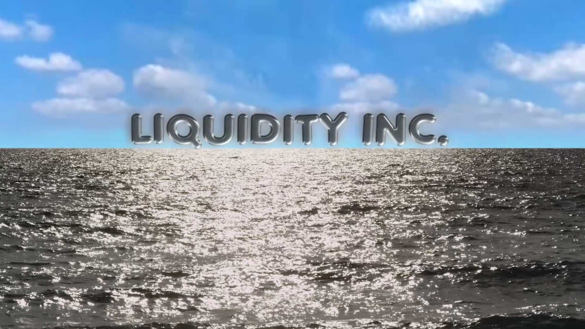 steyerl_liquidity_inc